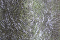 Coul Of Fairburn fibreglass roof work